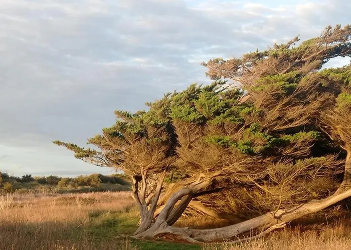 Maison La Petite Oleronaise بيت للعطل سان بيار دو أوليرون